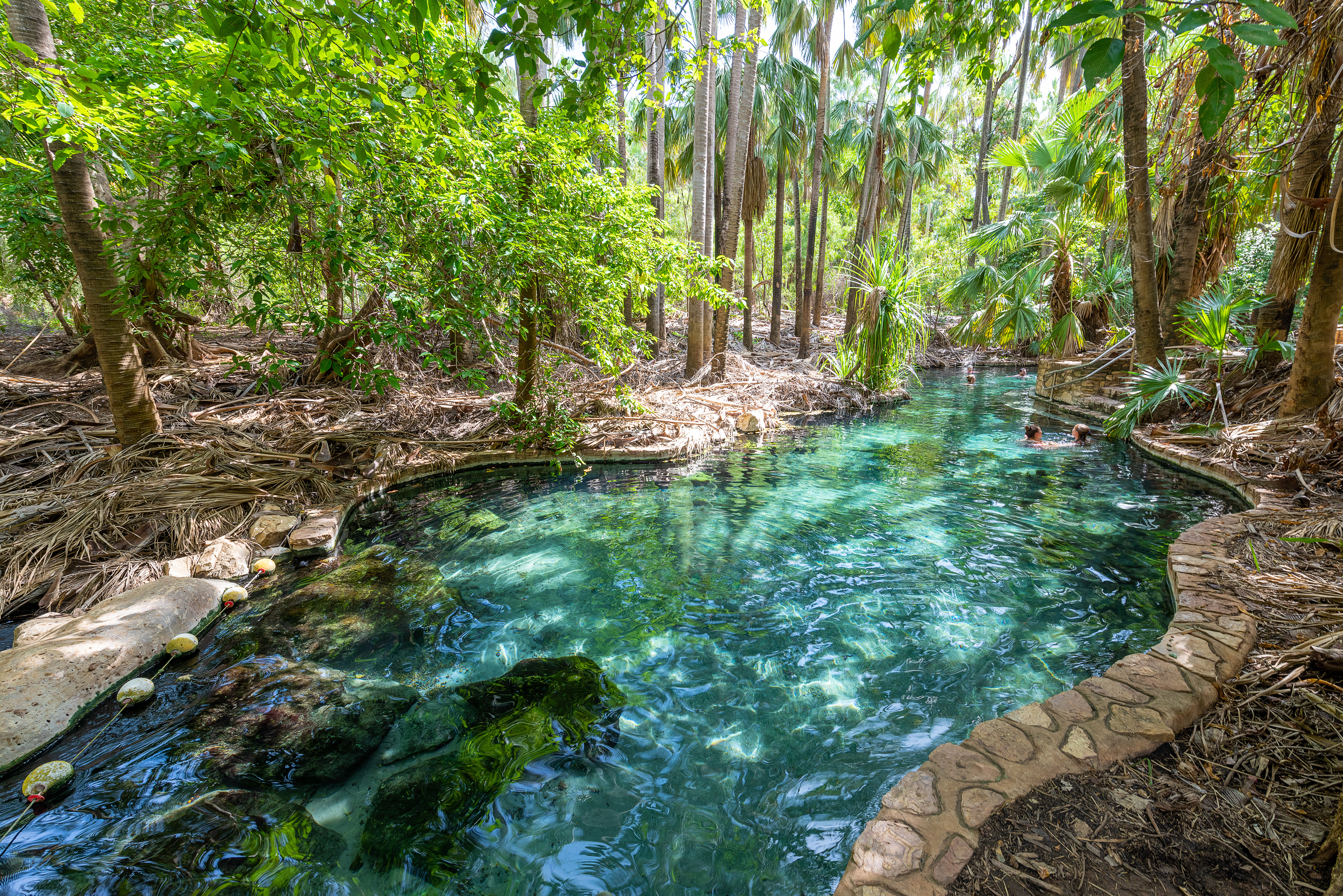 Mataranka thermal pools and hot springs